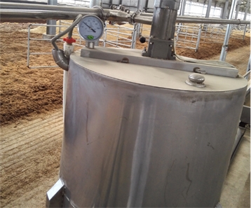 犢牛自動喂奶系統---小牛的自助餐